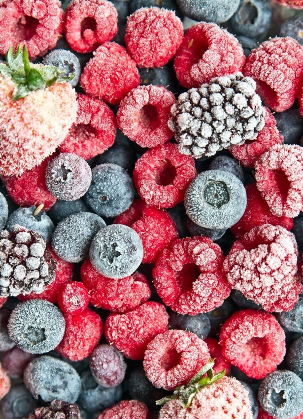 foodbel