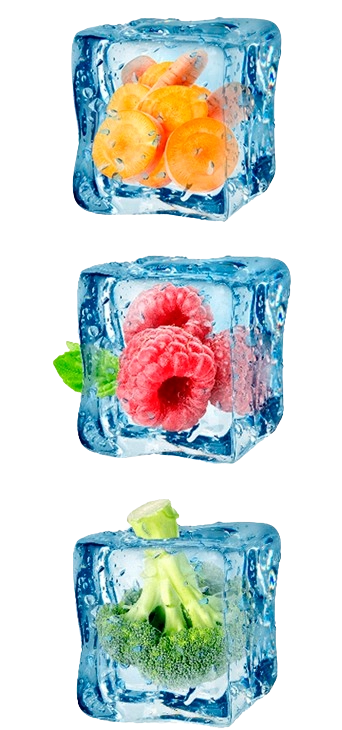 foodbel
